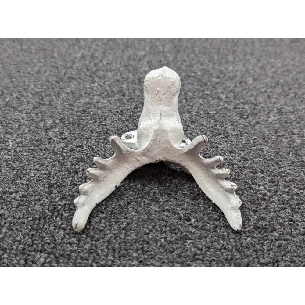 Cast Iron Set of 2 White Deer Moose Elk Antler Wall Coat Hooks 7